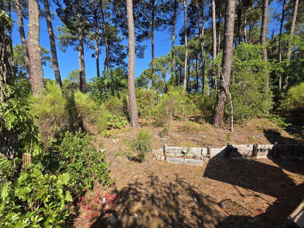 Maison 163 m² à Biscarrosse  - photo 2