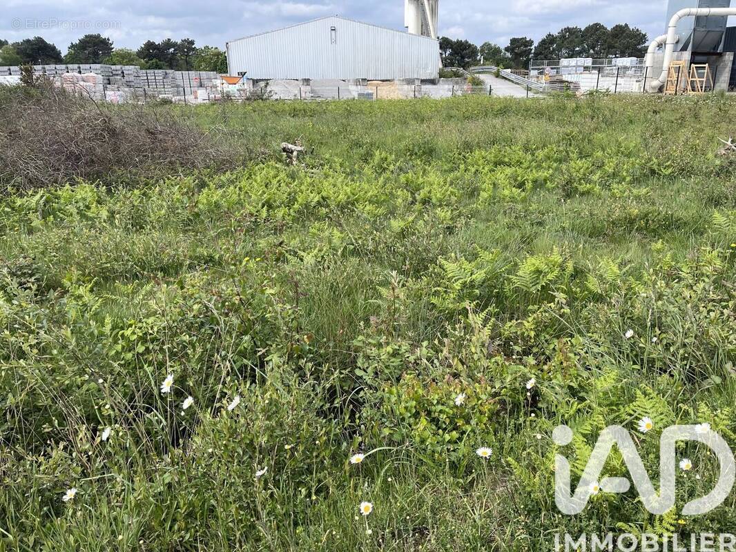 Photo 1 - Terrain à LANDAUL