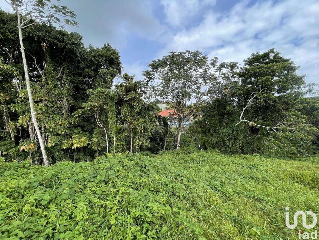 Photo 6 - Maison à PETIT-BOURG