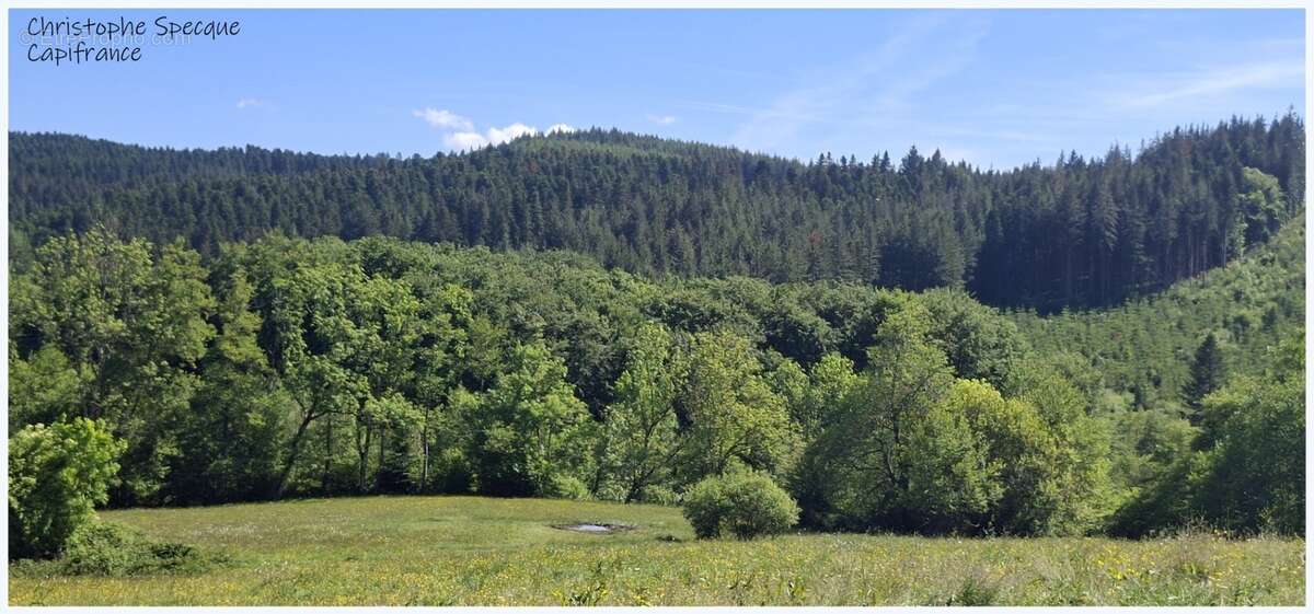 Propriete à vendre 5 pièces ARCONSAT (63) - photo 5
