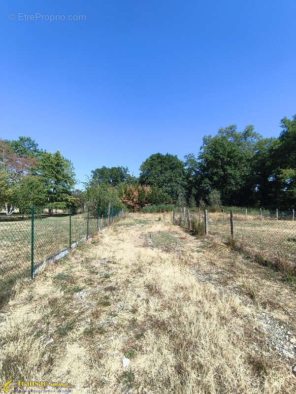 À Orléat, terrain constructible de 1295m2 - photo 2