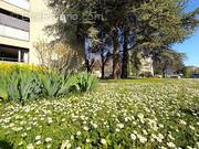 Appartement à ANNECY-LE-VIEUX