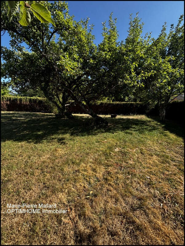 Maison familiale de 6 pièces THAURON (23) - photo 9