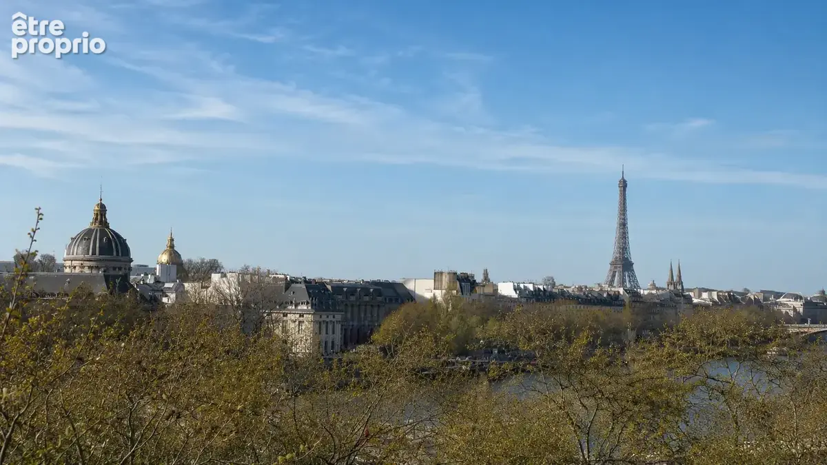 Bien d'exception avec vue sur la Seine et monuments ! - photo 2