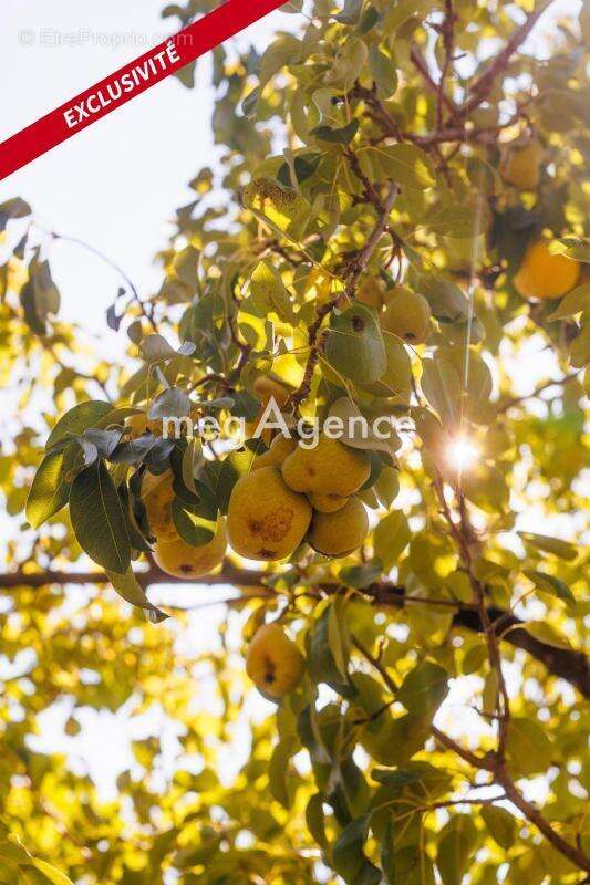 Maison à CUBZAC-LES-PONTS