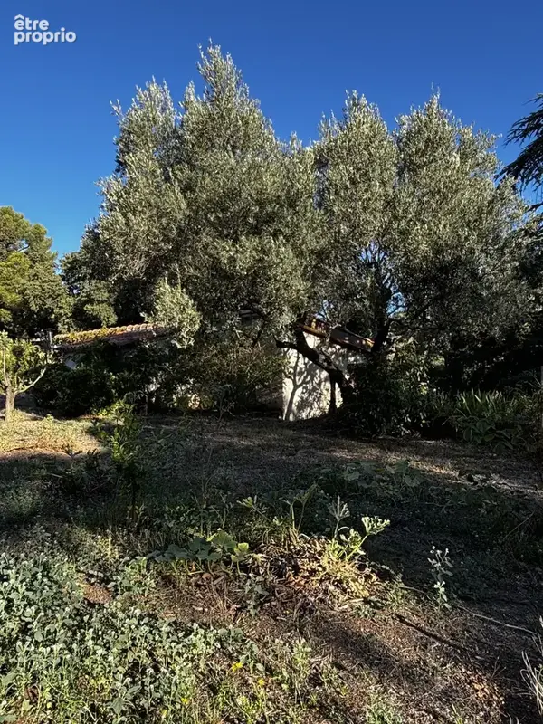 Maison à ALLAUCH
