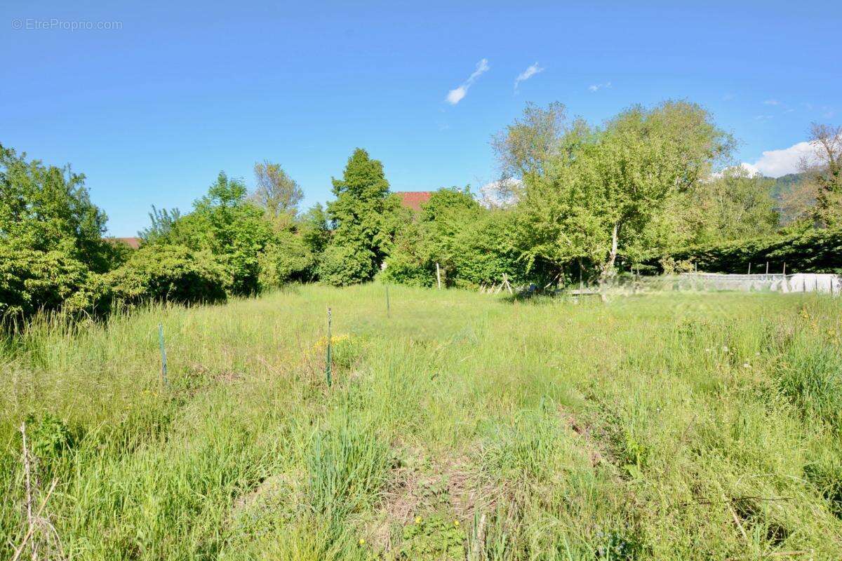 Maison mitoyenne à vendre 4 pièces - Terrain - Garage - LULLY (74) - photo 15
