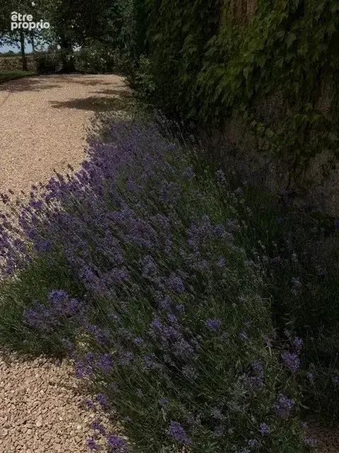 AUTHENTIQUE !!! Grande et belle maison en pierre dans un cadre préservé - photo 75