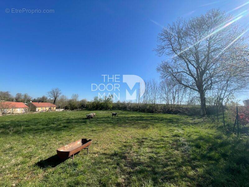 Terrain à JONCHERY