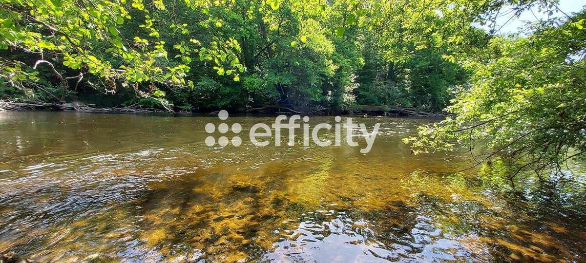 Maison 37 m² à Saint-Priest-Taurion  - photo 12