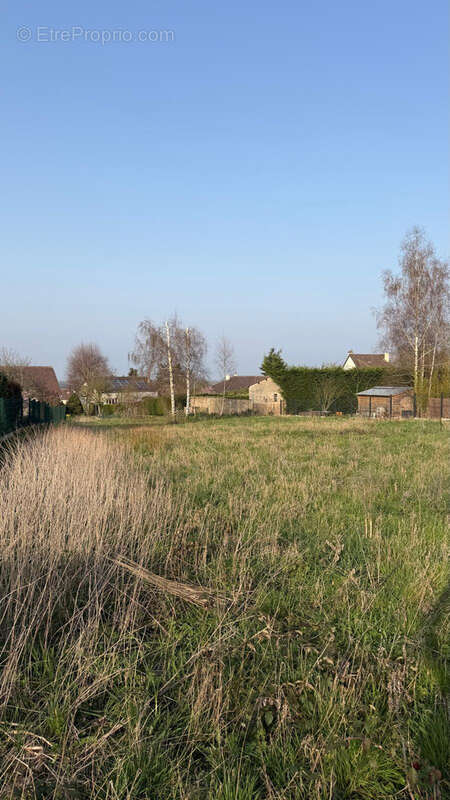 Terrain à LE MONT-SAINT-ADRIEN