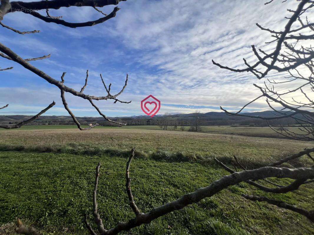Longère avec dépendances et vue Pyrénées - photo 14