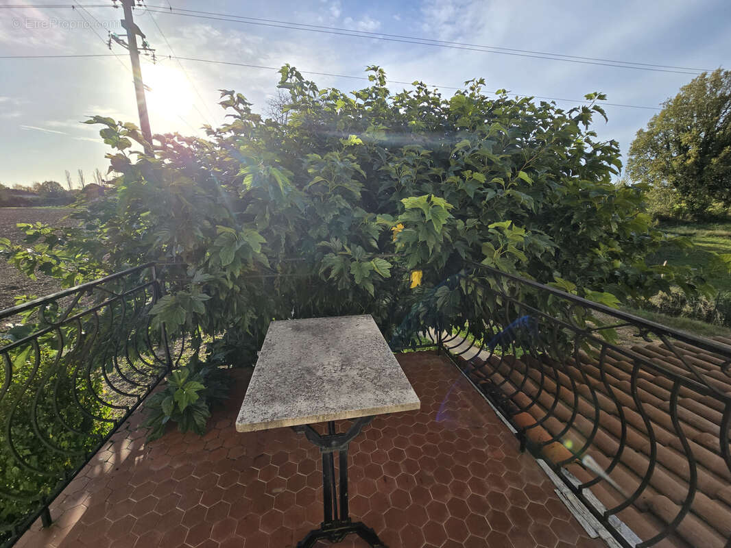 Maison à MARSSAC-SUR-TARN