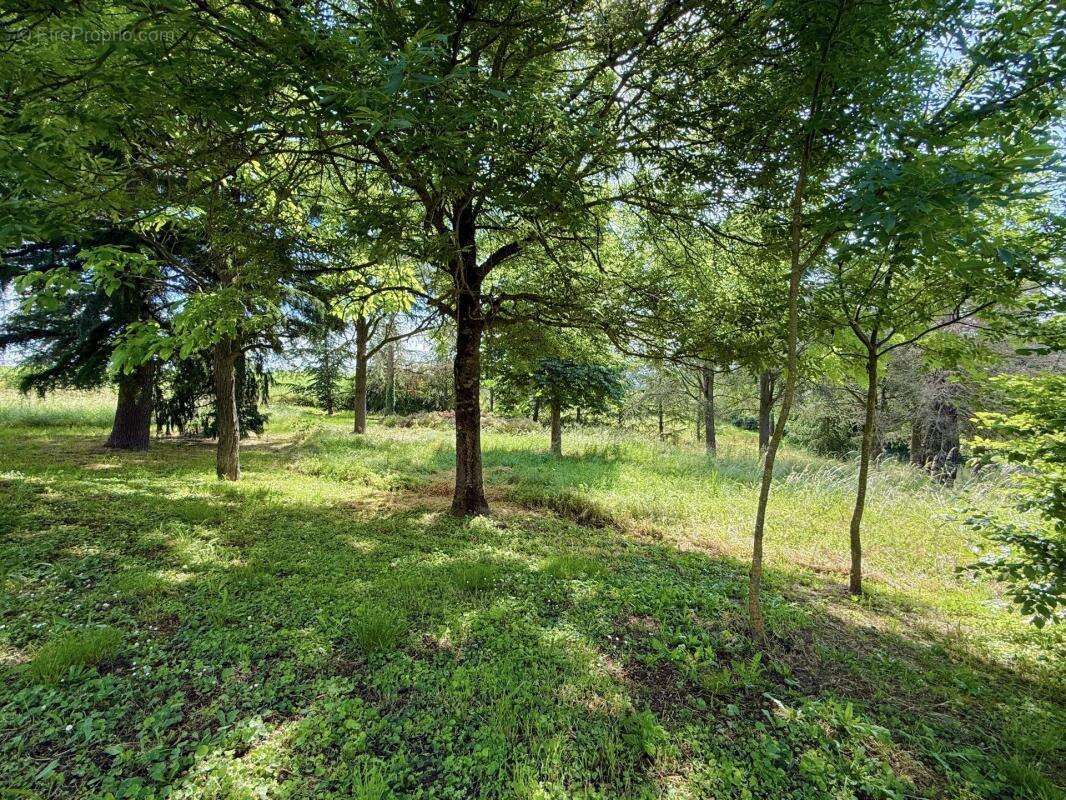 Maison à POLLIONNAY