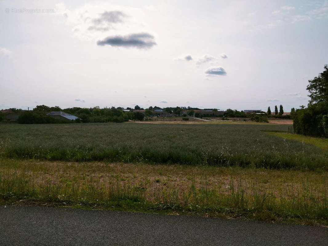Terrain à LE ROCHEREAU