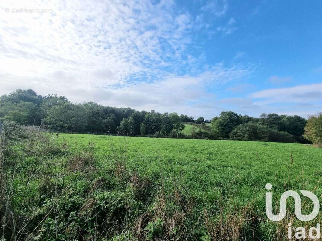 Photo 4 - Maison à CHANTONNAY