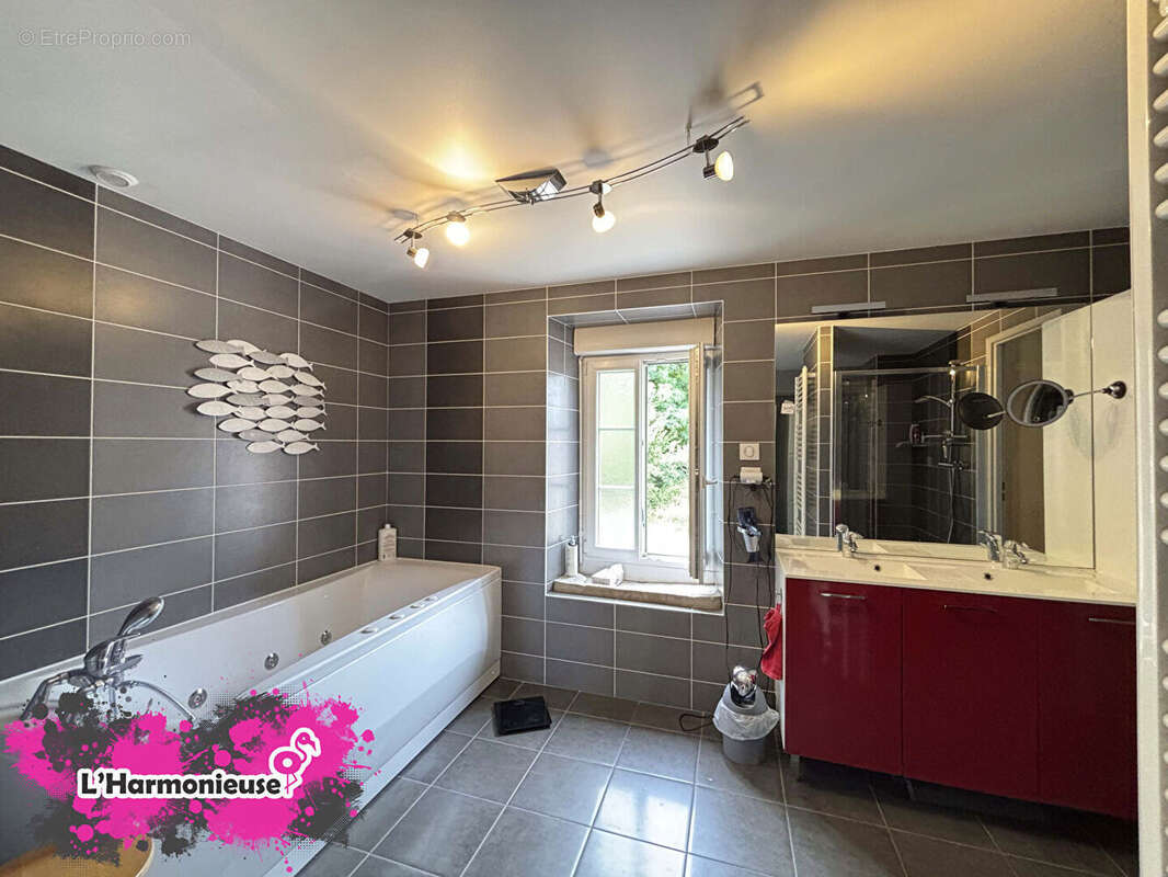 L'Harmonieuse - photo 10
