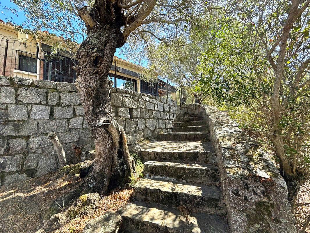 Maison à SOTTA