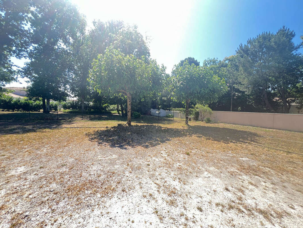 Terrain à LES MATHES