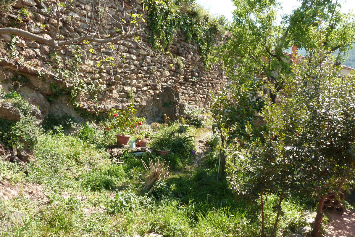 Maison à MONTESQUIEU-DES-ALBERES