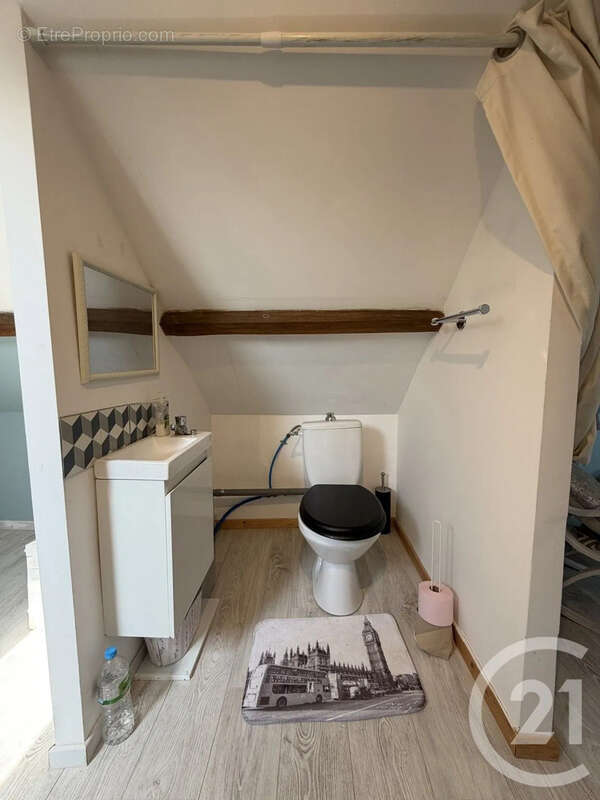 Maison 110 m² à Saint-Hilaire-La-Gravelle  - photo 9