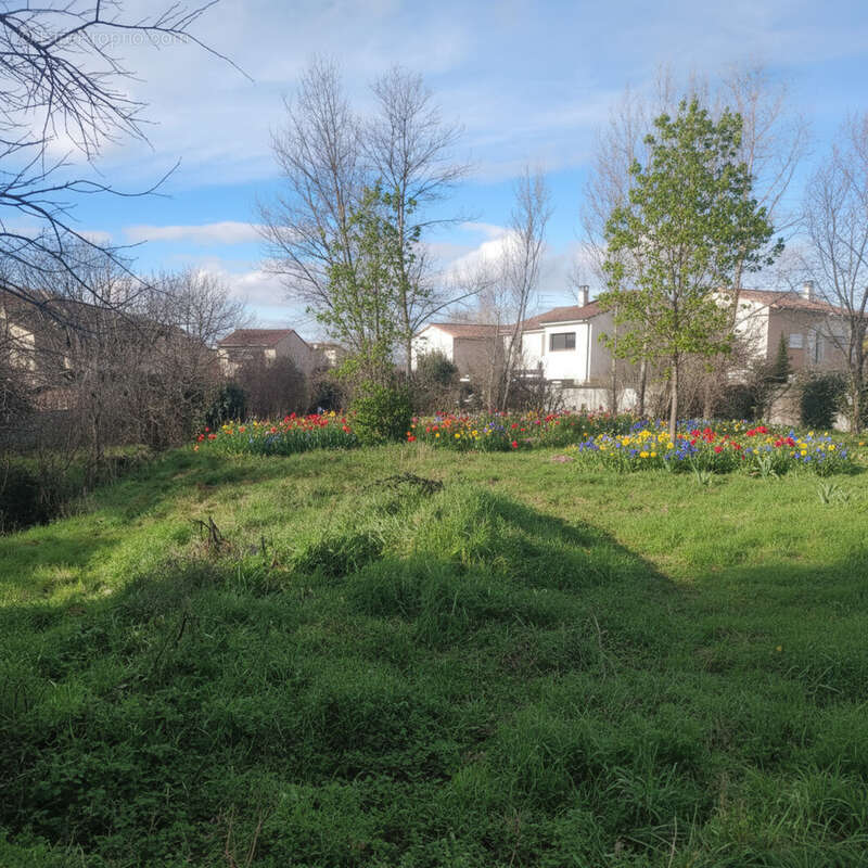 Terrain à TOULOUSE