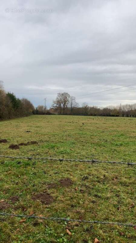 Terrain 533 m² à Forges-Les-Eaux  - photo 3