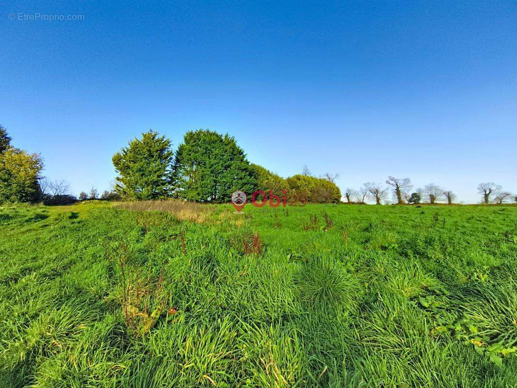 Maison à PLONEVEZ-DU-FAOU