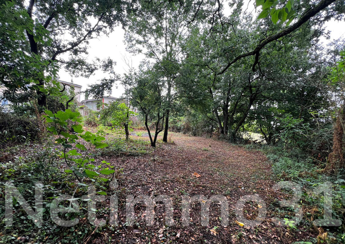 Maison à PUYLAURENS