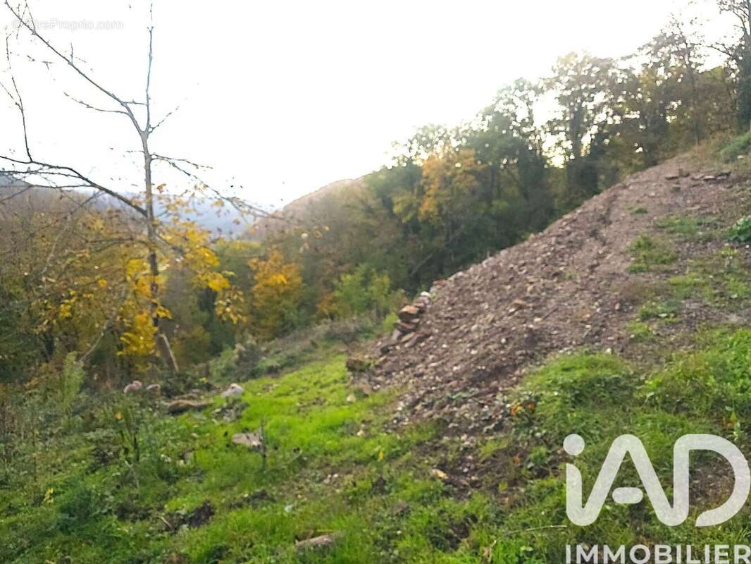 Photo 4 - Terrain à HEILIGENBERG