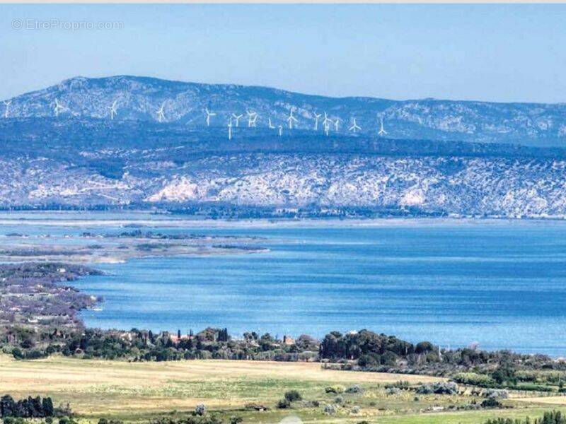 Terrain à SAINT-LAURENT-DE-LA-SALANQUE