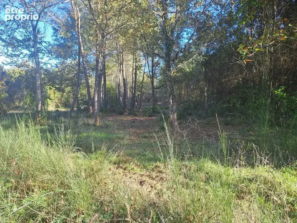 TERRAINS CONSTRUCTIBLES NON VIABILISES ET FORESTIER 4738 m2 ST