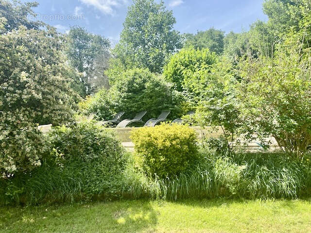 Maison de plain-pied avec un gîte, grand terrain, piscine à 20 minutes au Sud d'Auch - photo 16