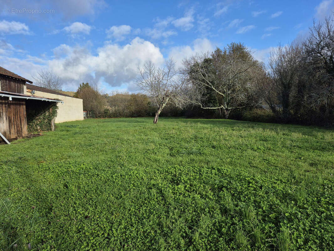 20251125_110405 - Terrain à SAINT-PARDOUX-LA-RIVIERE