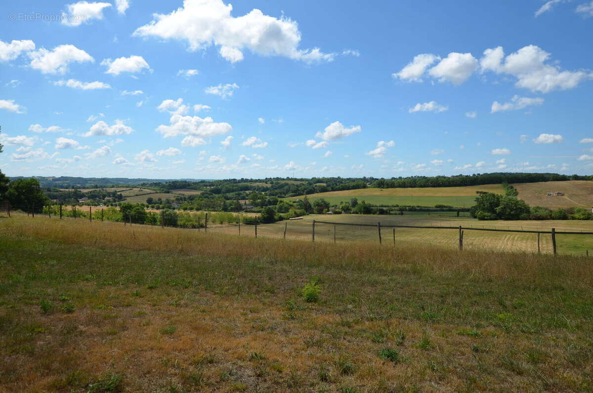 TRÈS RARE - Aux abords de la ville de Vic-Fezensac (2kms par un chemin sans passage), maison lumineuse en pierre de plain-pied c - photo 3