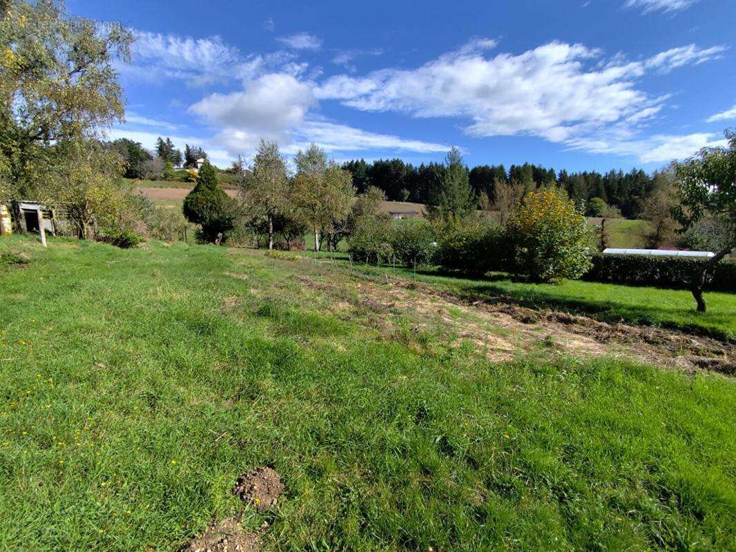 Terrain à LA SEAUVE-SUR-SEMENE