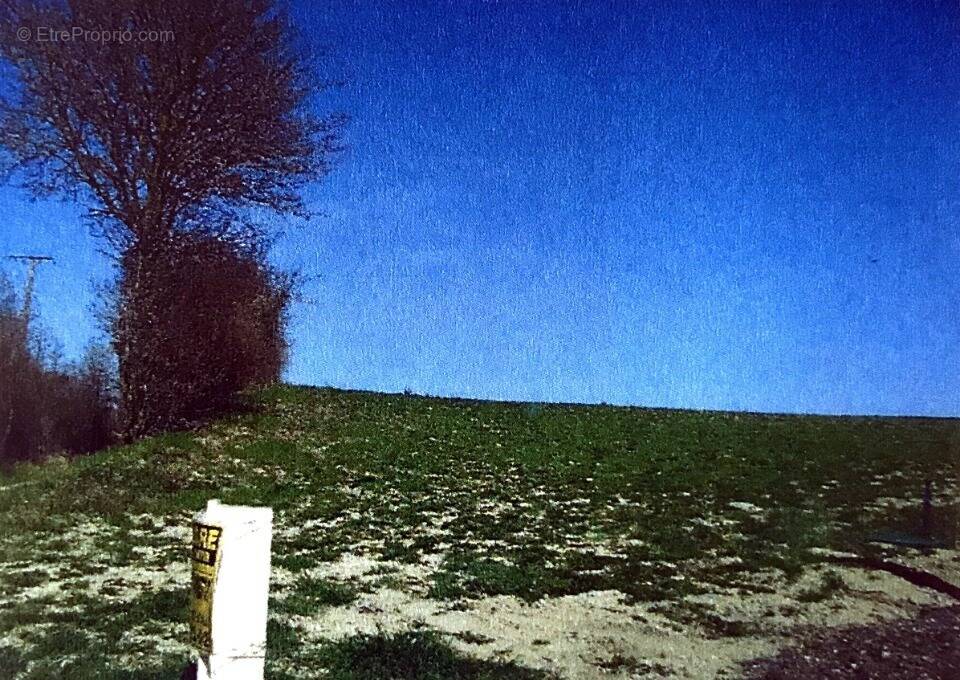Terrain à LA CHAPELLE-SAINT-LUC