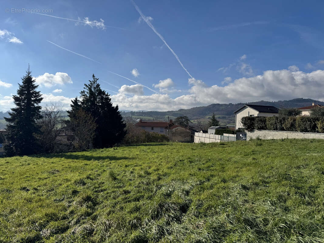 Terrain à POLLIONNAY