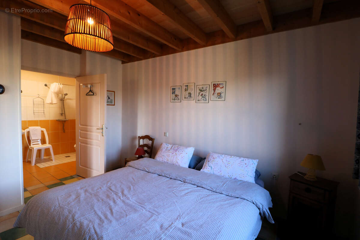 Propriété de 2.5ha avec Maison rénovée, dépendances, Vue Pyrénées - photo 17