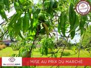 Terrain à L&#039;ISLE-JOURDAIN