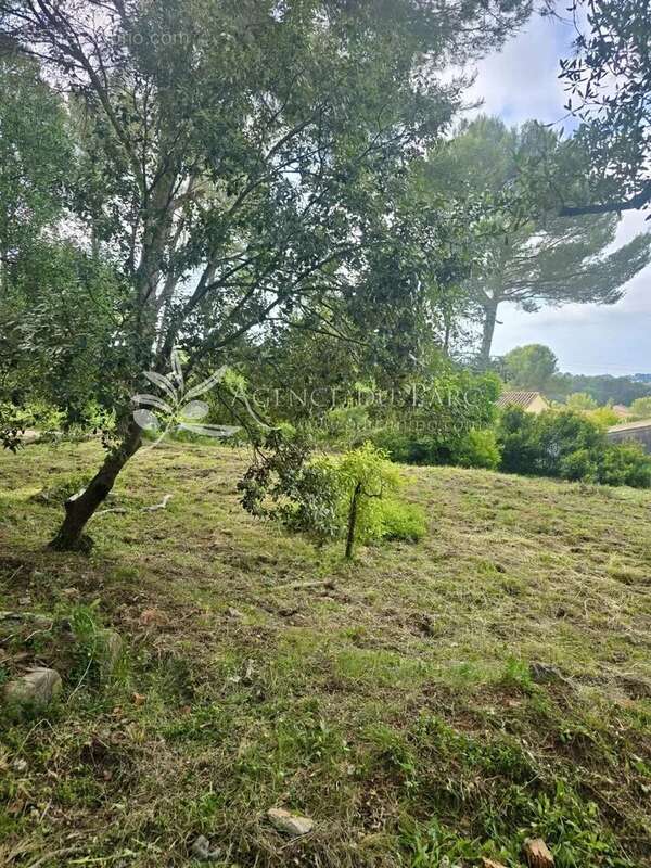 Terrain à BIOT