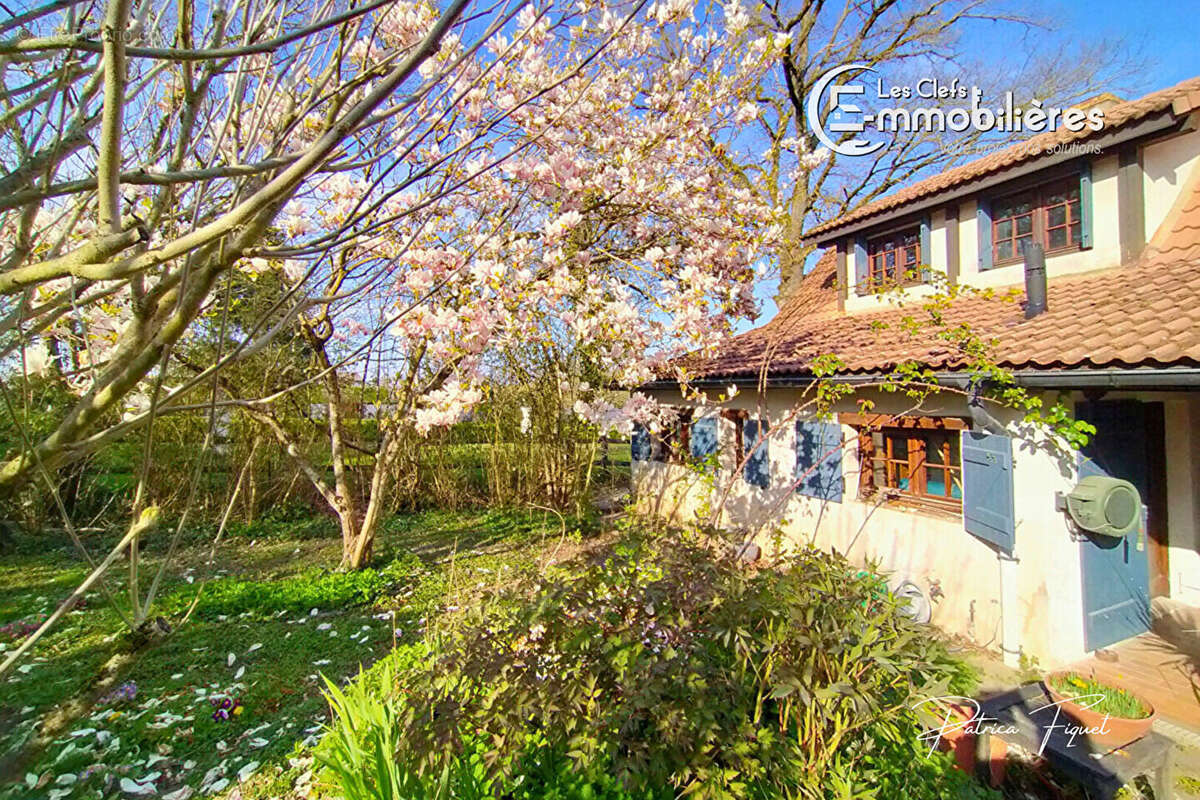 Maison à CHALON-SUR-SAONE