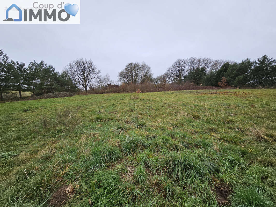 Terrain à SAINT-MARDS-EN-OTHE