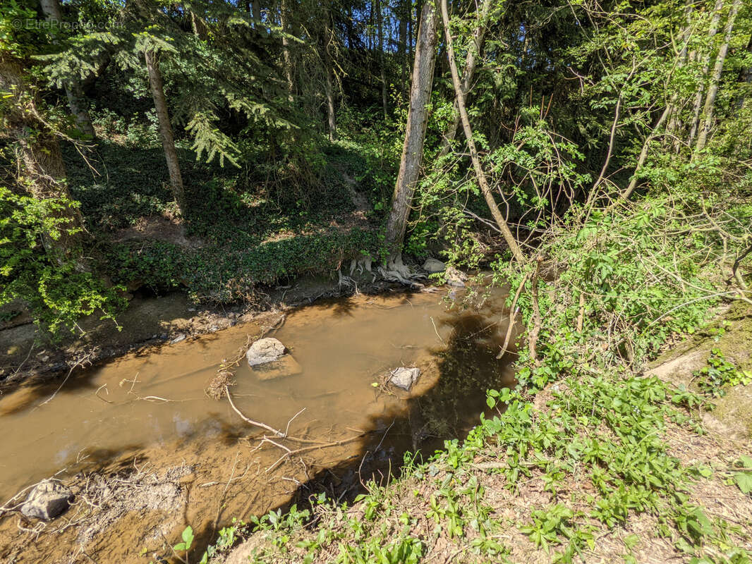 Un Manoir en Brocéliande à acheter avec CHT Immobilier - photo 44