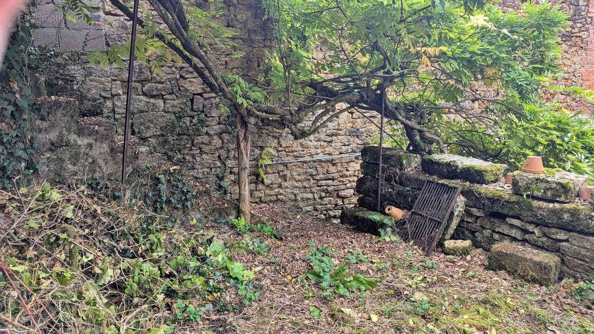 terrasse avec magnifique glycine - Maison à CLAMECY
