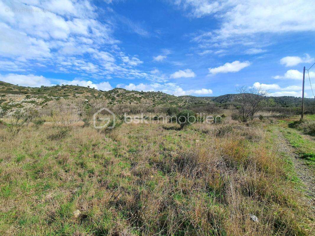 Terrain plat de 4760m² - sur l'axe cases de pene / estagel - au bord de l'agly - photo 3