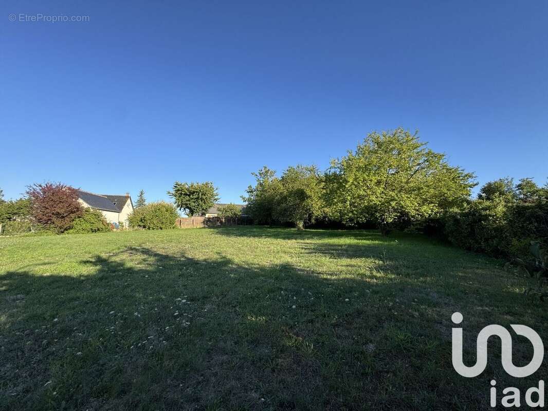 Photo 3 - Terrain à CHINON