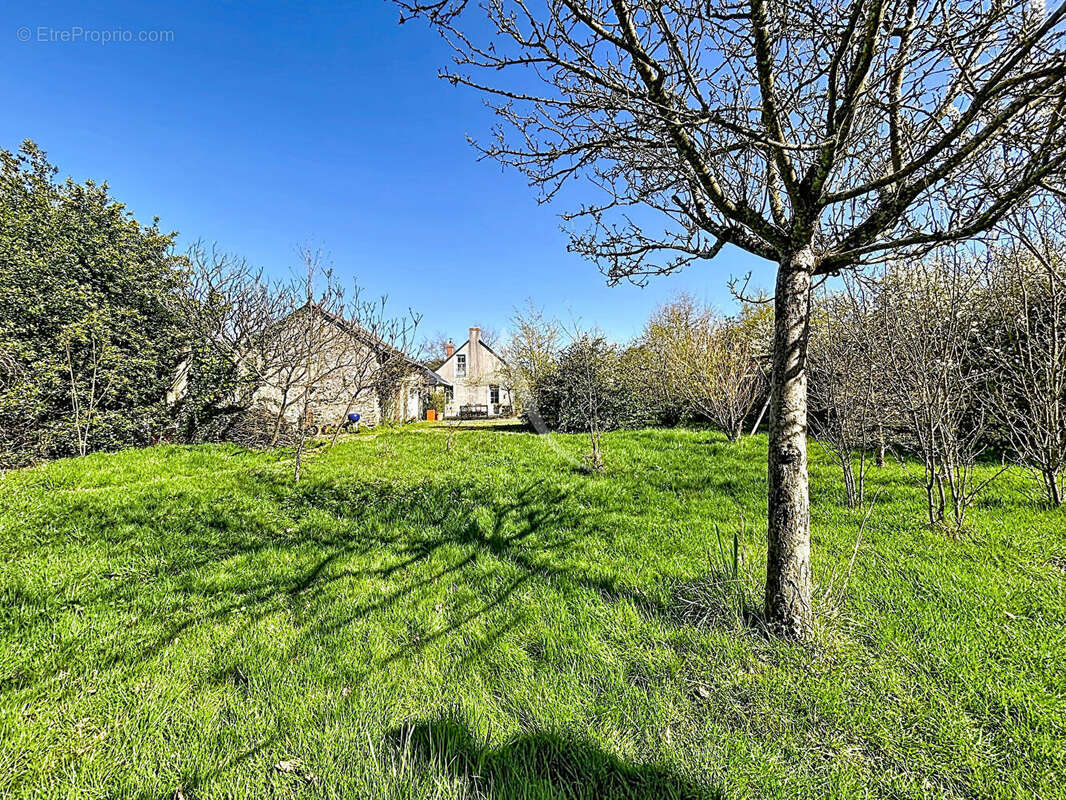 Maison à SAINT-AUGUSTIN-DES-BOIS
