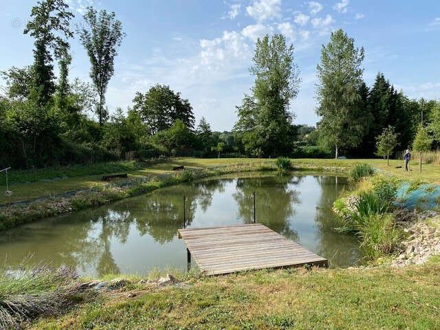 Terrain à CHATILLON-SUR-CHALARONNE