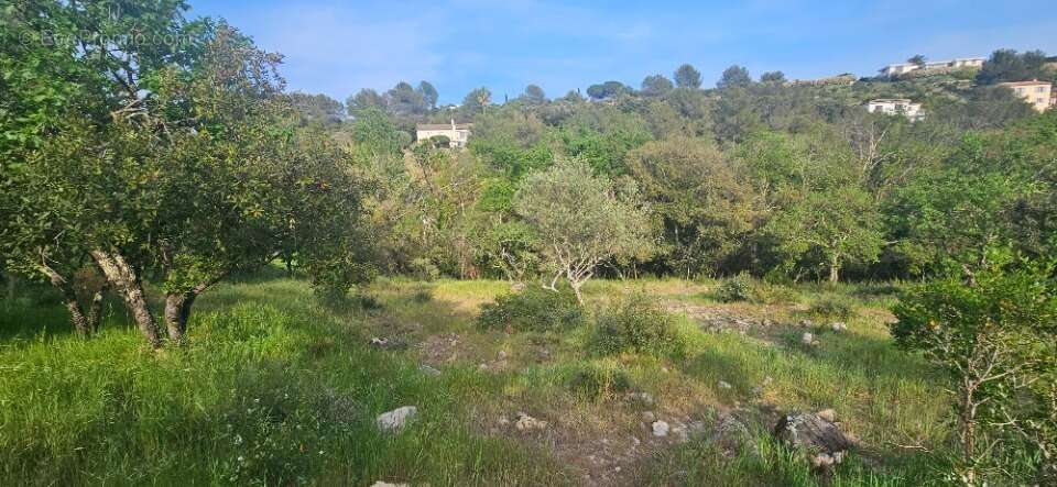 Terrain à ROQUEFORT-LES-PINS